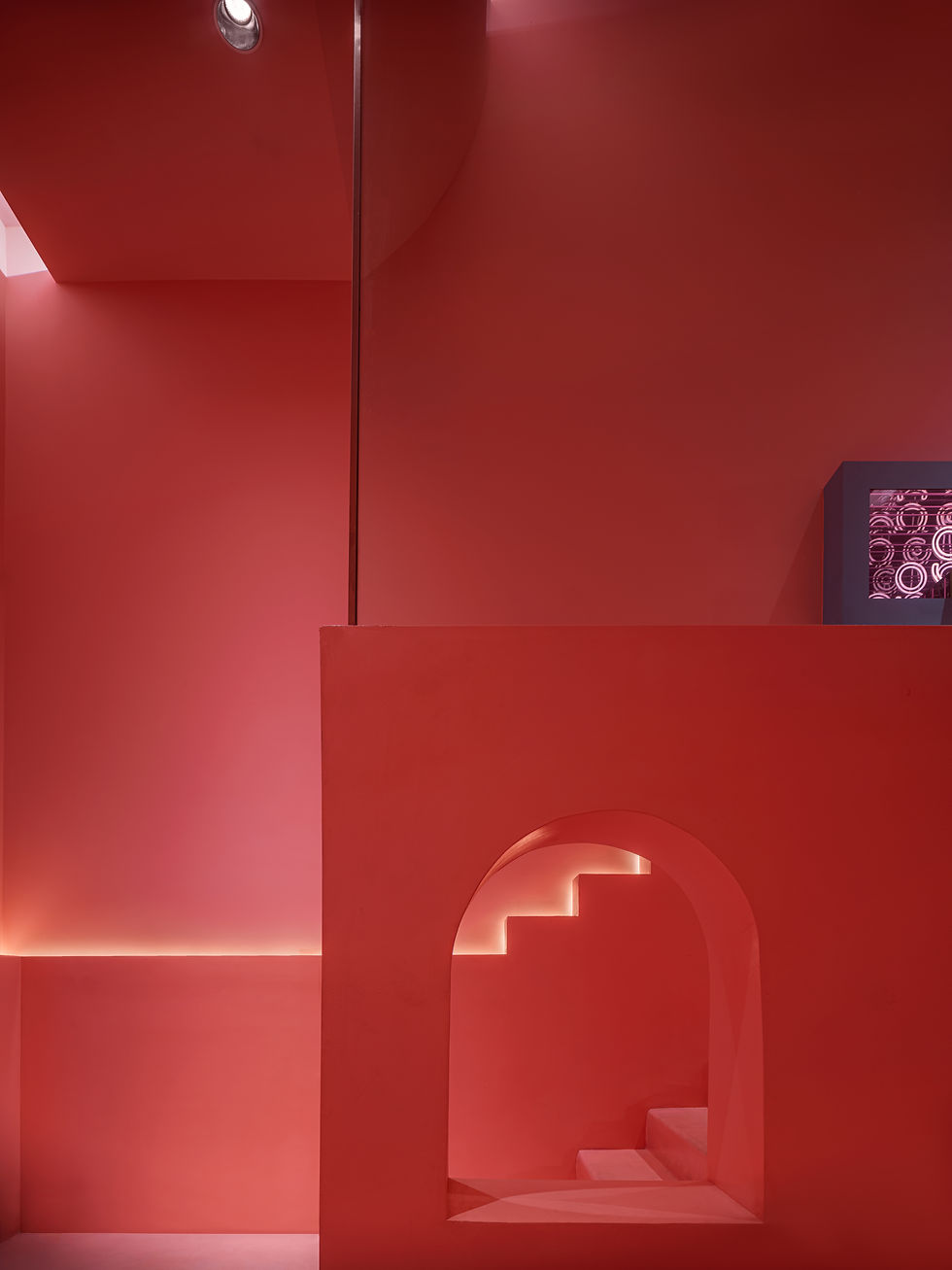 Pink Oyster Mushrooms