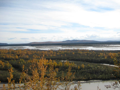 tanana fall.jpg