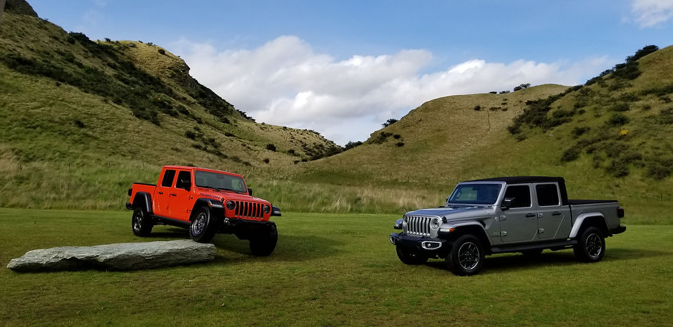 A very New Zealand presentation display.