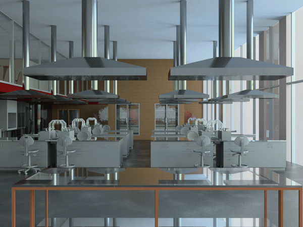 Laboratory_Without_Masses11