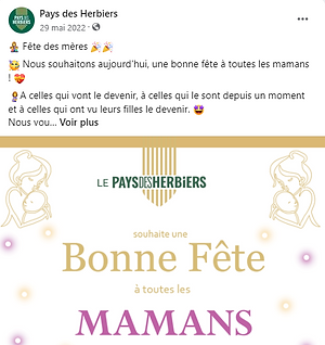 insta fete mere facebook.png