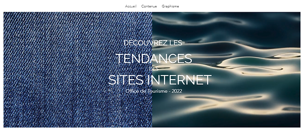 Premiére page site internet tendances.png