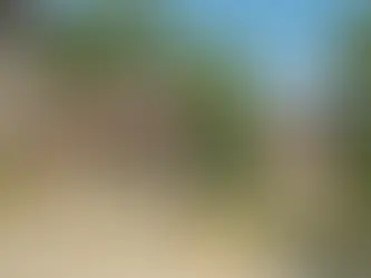 MİRASI REDDETME SÜREM GEÇTİ, NE YAPABİLİRİM?