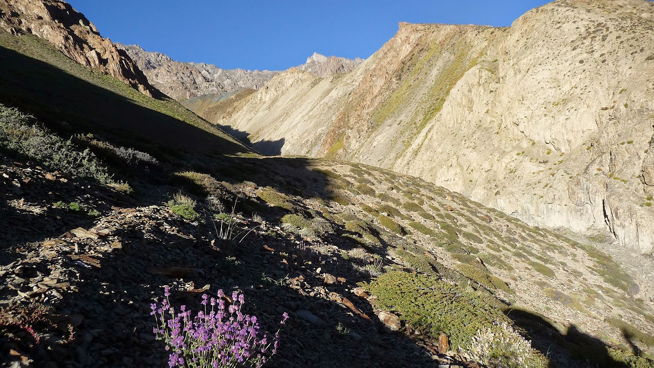 Treks-Ladakh-2015-P1110674