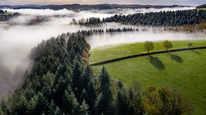 parc-morvan-1.jpg