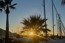 IMG_2850.heic