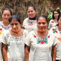 Die neue Ernte ist da.