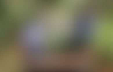 Das Ende des Fingerpickings