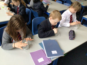 Exploring sound in Year 4