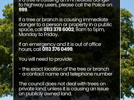 DAMAGED TREES AND BRANCHES.