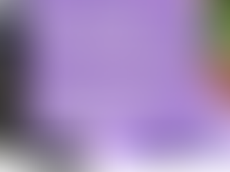 Litter free hunslet litter pick