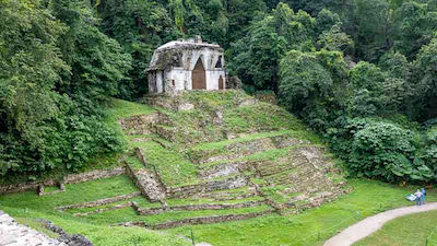 葉の十字架の神殿 templo de la cruz Foliada