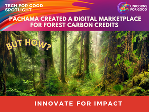 Pachama is Creating a Digital Marketplace for Forest Carbon Credits
