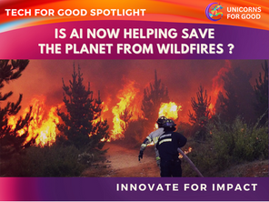 AI, Solar Cameras & Satellites are Saving our Planet from Wildfires and Climate Change