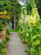 Path by church cottage