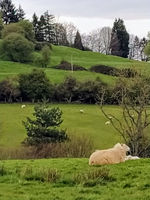 Beautiful Ilmington 2