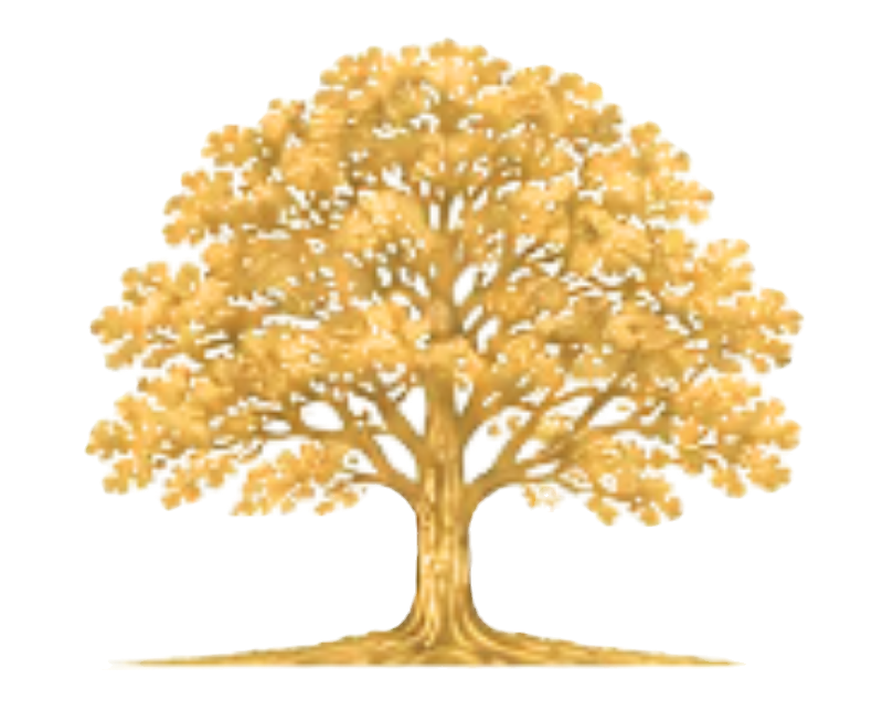 CoverTree_edited.png