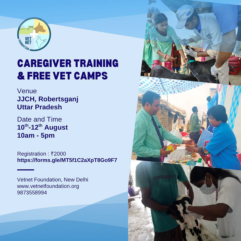 Caregivers Training and Free Vet Camps
