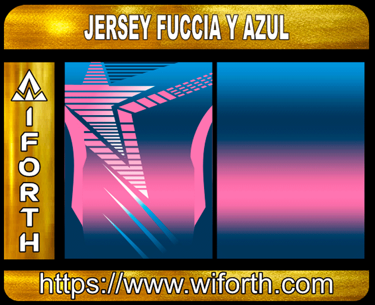 JERSEY FUCCIA Y AZUL