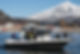 NNopcaal-0207.jpg