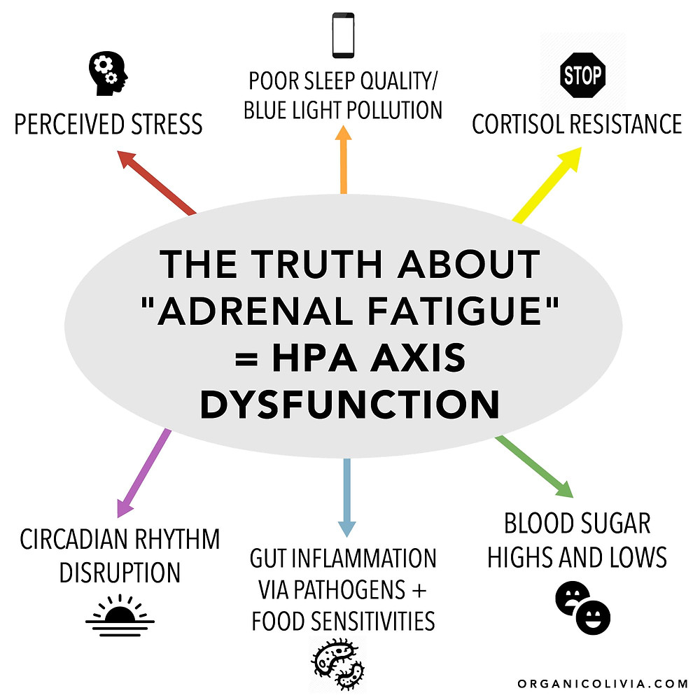 The Truth About Adrenal Fatigue (And What It REALLY Is)