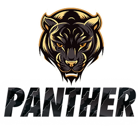 Pune premier league
