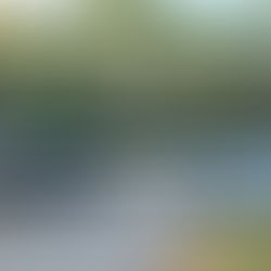 Loosing focus? - Go Fishing