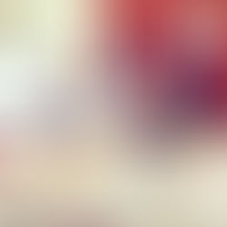 December School Fairs