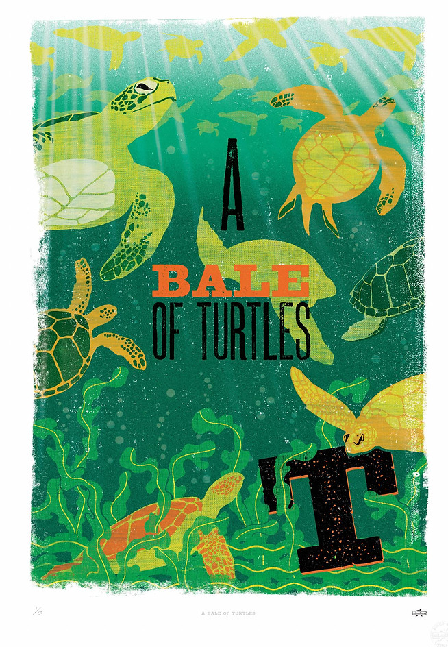 thumb-a-bale-of-turtles-print-scaled.jpg