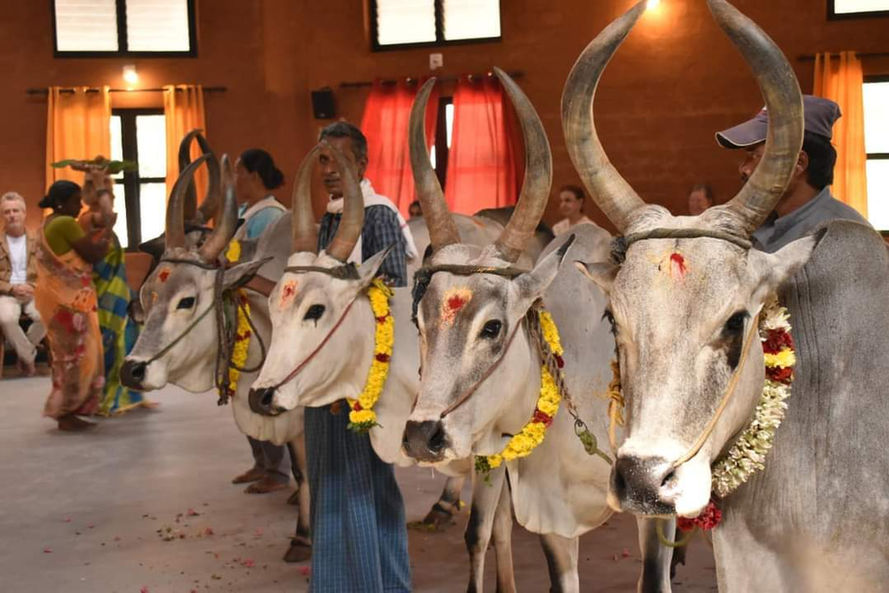 Vaidyagrama & India 2023 - Part II