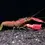 Thumbnail: Cherax Lobster - Cherax albidus