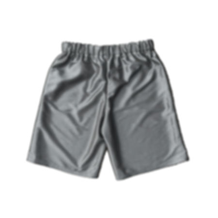 SILVER BAGGY SHORTS