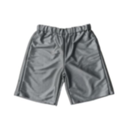 SILVER BAGGY SHORTS