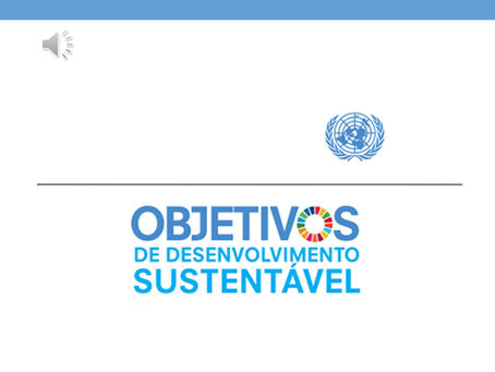 Alunos da Flávio realizam exposição sobre ODS