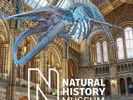 NATURAL HISTORY MUSEUM