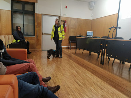 "Um animal, um amigo!" Leva-o contigo!