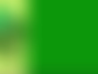 Está instalada! Começou uma nova azáfama!