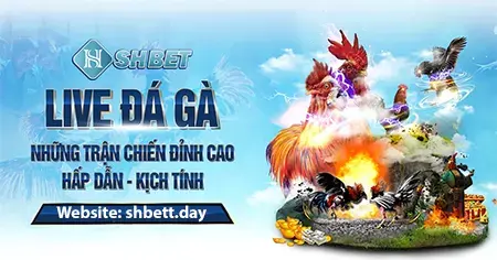 Lợi ích của Live Casino: Phương tiện giải trí mới đầy hấp dẫn