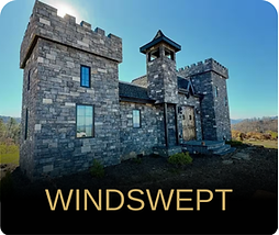 Copy of Earth And Sky - Live  (3).png