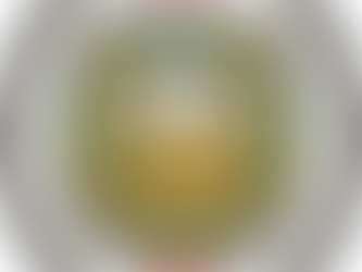 VOLUNTEER OPPORTUNITIES FOR CENSUS CANVASSING