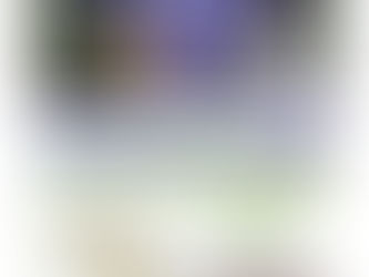 Our City Forest Spring Sale