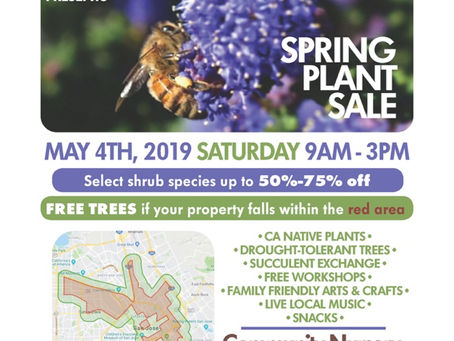 Our City Forest Spring Sale