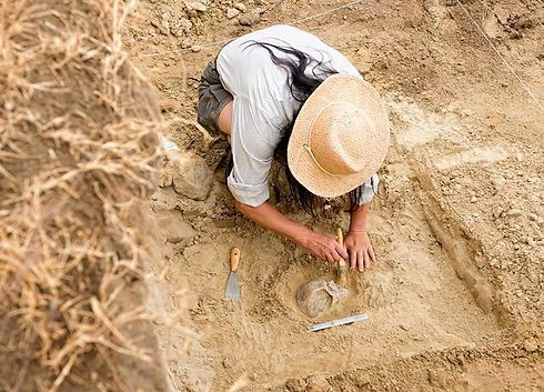 archeologist-1024x677.jpg