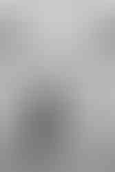 Relaxed and fun wedding portraits around North Perth Town Hall