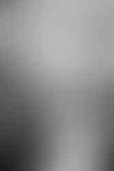 The bride and groom and guests listen to wedding speeches