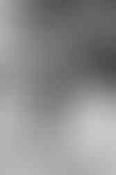 Relaxed and fun wedding portraits around North Perth Town Hall