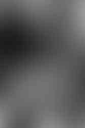 The wedding party picnic at Cottesloe Civic Centre