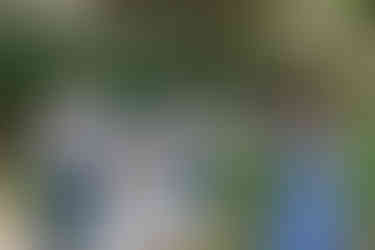 Celebrant Lisa Webb signing the legal paperwork at the wedding at Secret Garden a Cottesloe Civic Centre