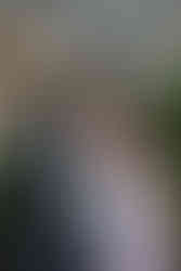 Wedding guest portraits in the Secret Garden a Cottesloe Civic Centre