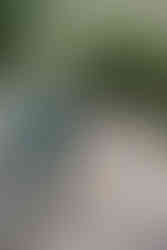 Relaxed and fun wedding portraits around North Perth Town Hall